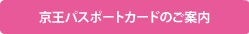 �����p�X�|�[�g�J�[�h�̂��ē�