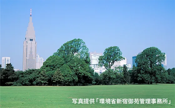 写真提供「環境省新宿御苑管理事務所」