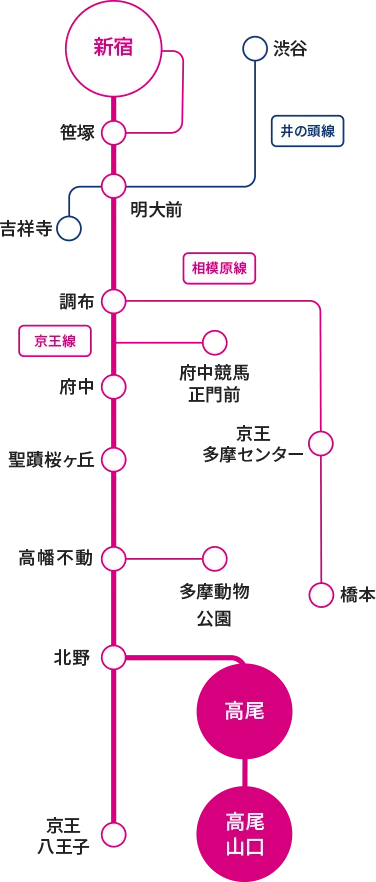 新宿から京王八王子駅と高尾山口駅までのアクセスマップ。高尾山口駅は高尾線の始発終着駅。高尾駅は高尾線上に位置する。