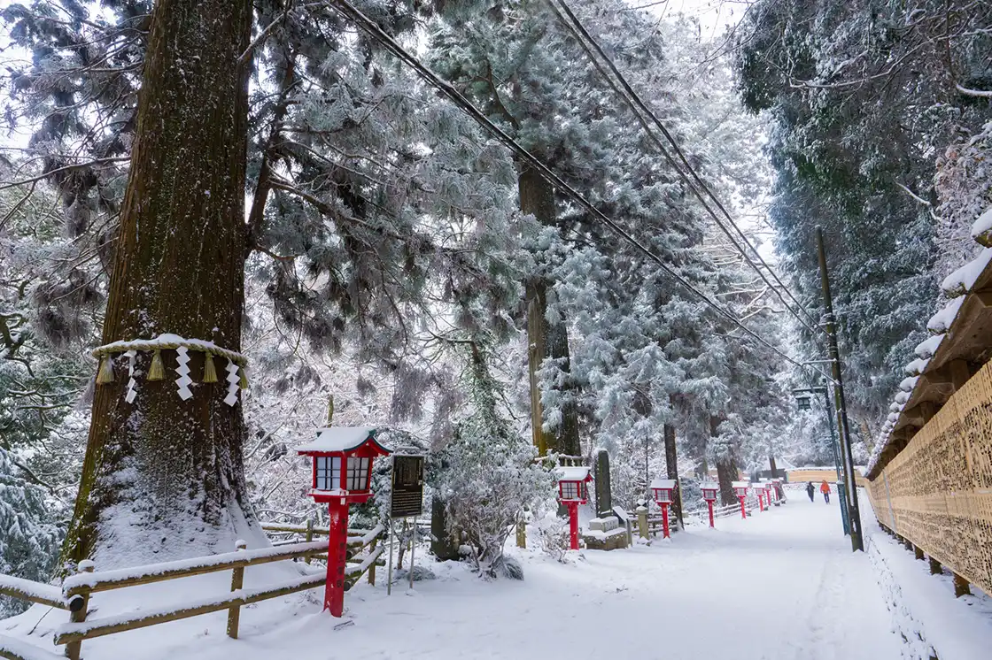 雪の高尾山1号路の写真