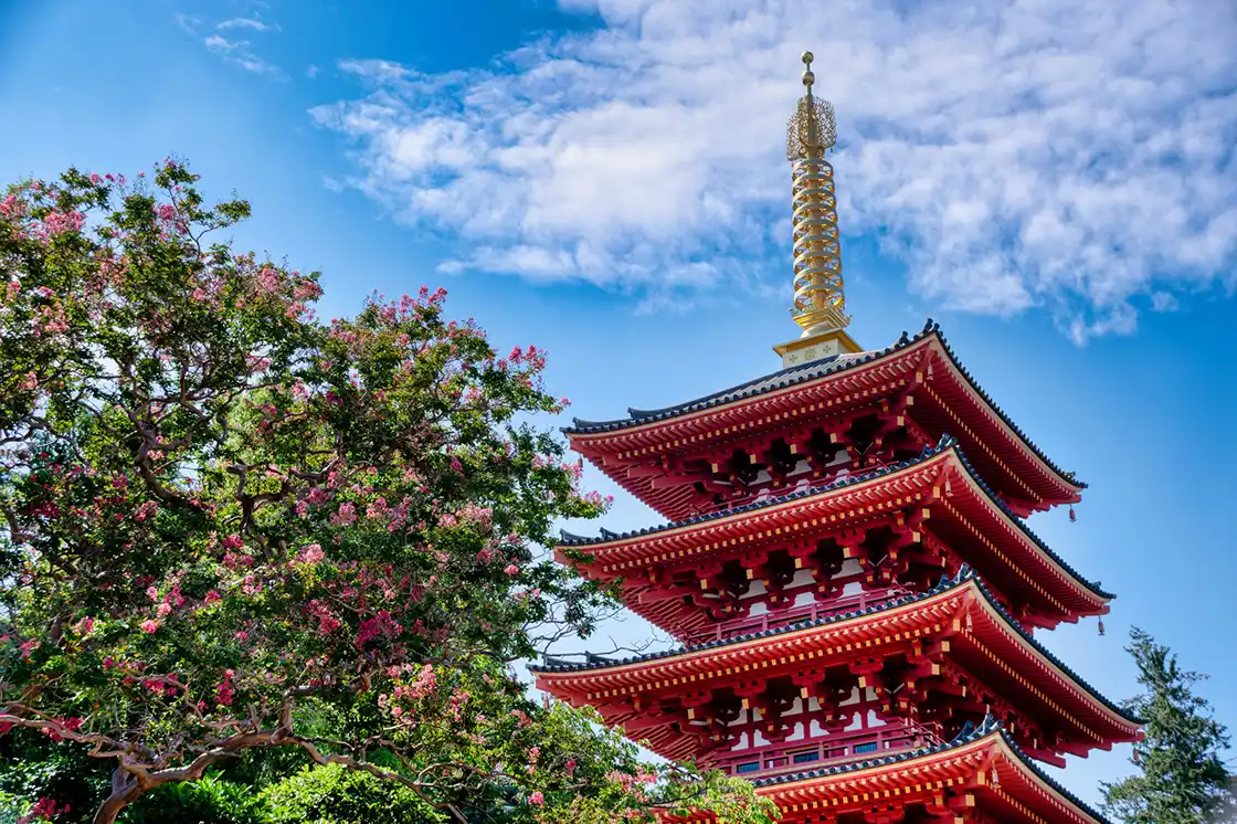 五重塔と百日紅の写真