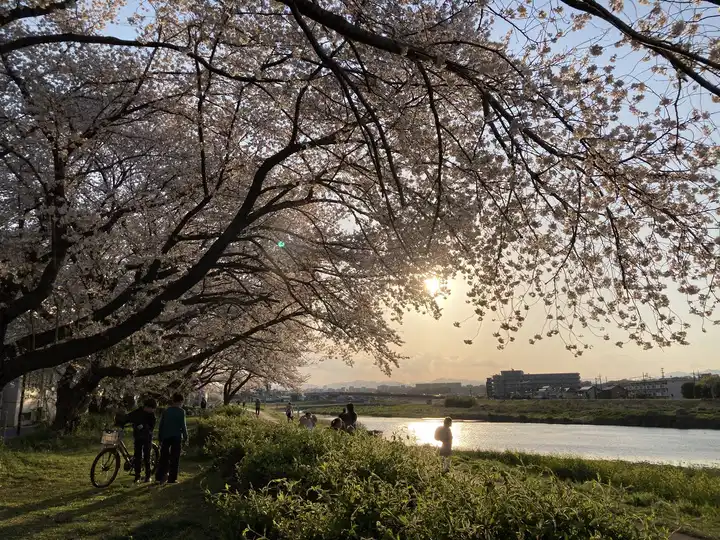明日への希望の写真