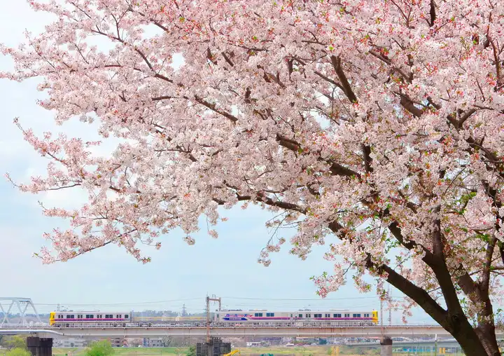 DAXが来たの写真