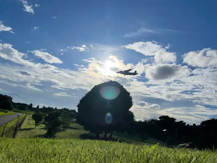 光の方へ。の写真