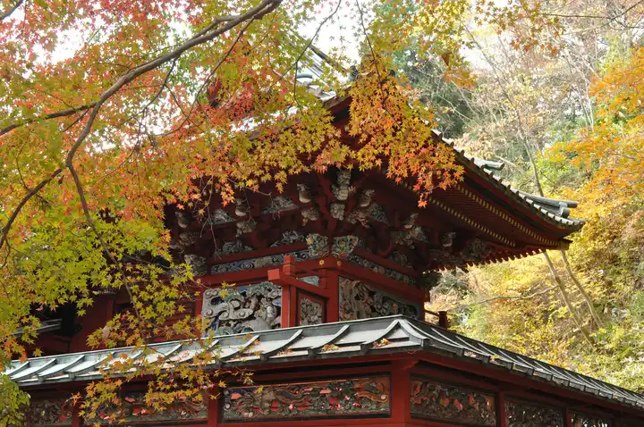 秋の権現堂の写真