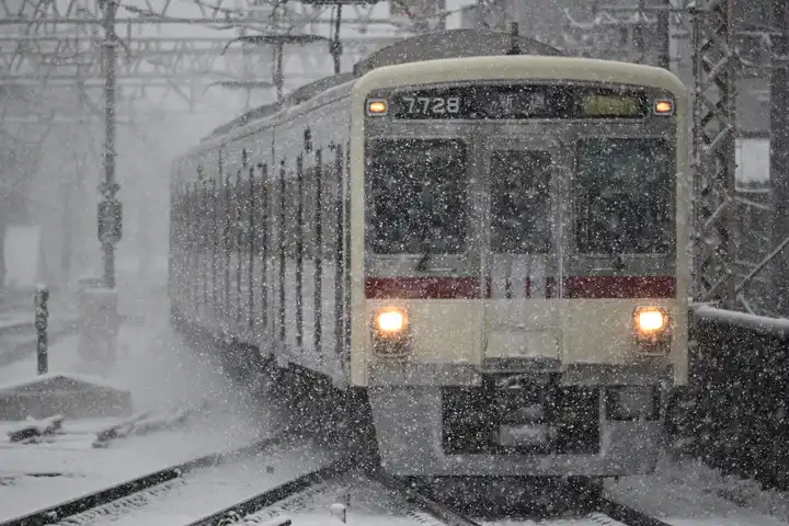 雪の中での写真
