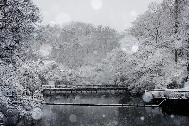 降り積もる静寂の写真