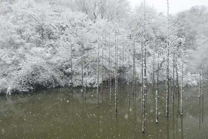 小雪舞う大田切池の写真