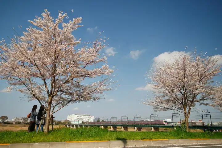 今日もいい日になりました。の写真