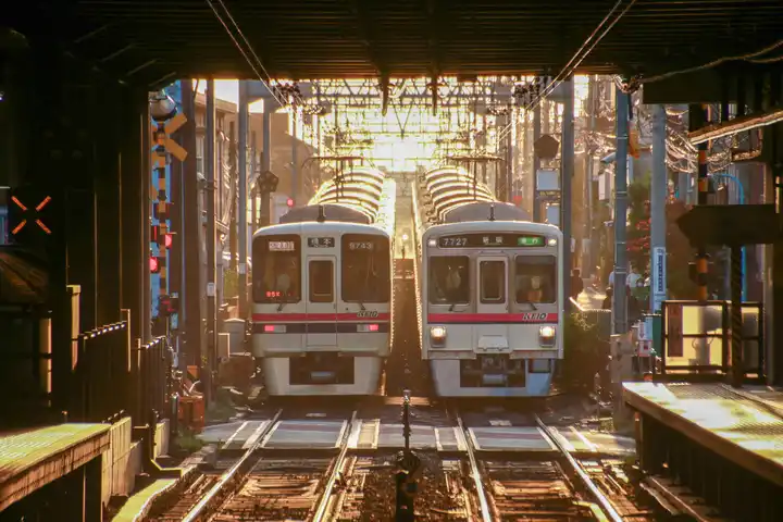 一瞬の邂逅の写真