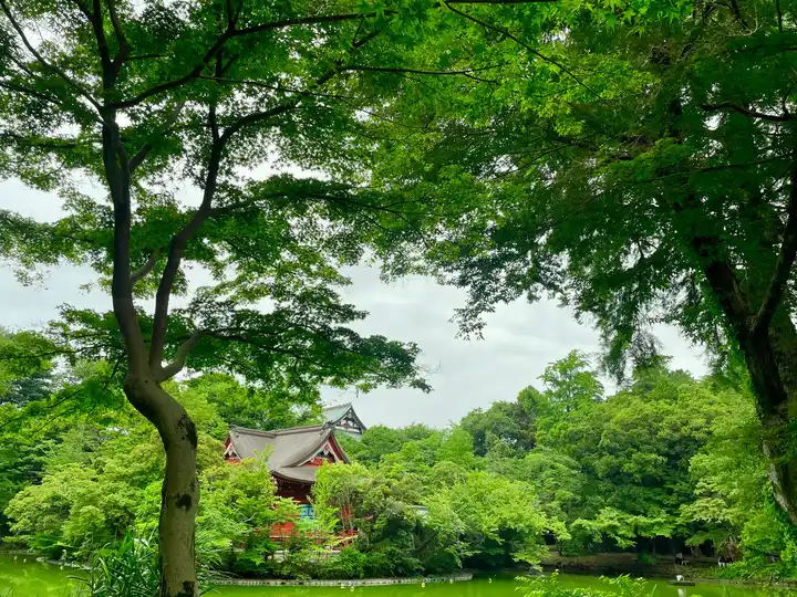 夏隣の写真