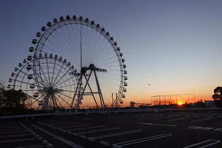 からす カー で 夜が明けたの写真