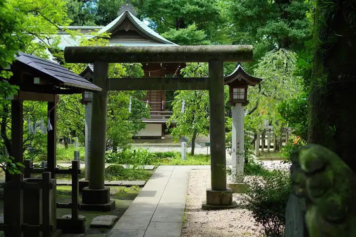 夏の布田天神の写真