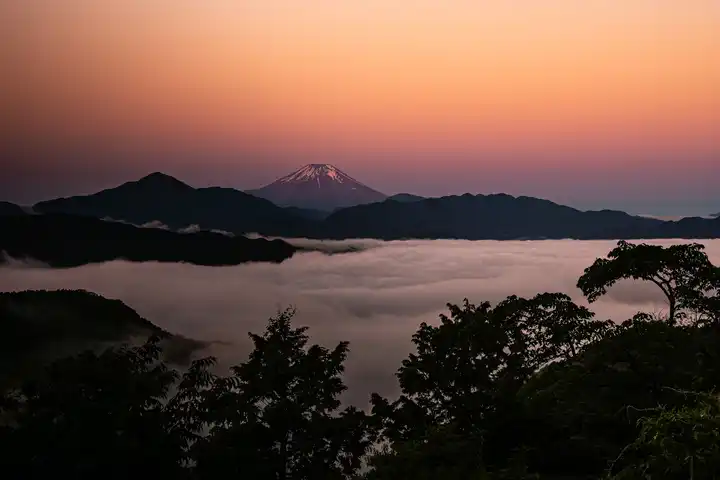 早朝のひと時の写真