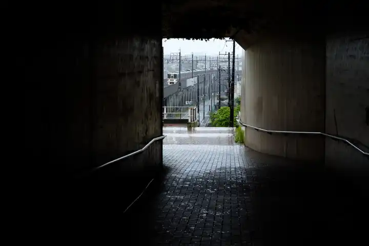 雨の中でもの写真