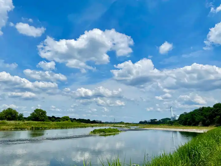 Great Nature 多摩川の丘の写真