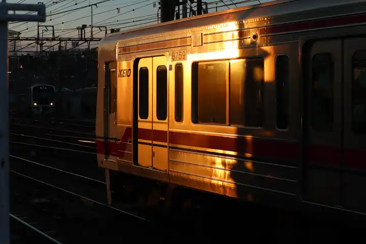 夕日の京王線の写真