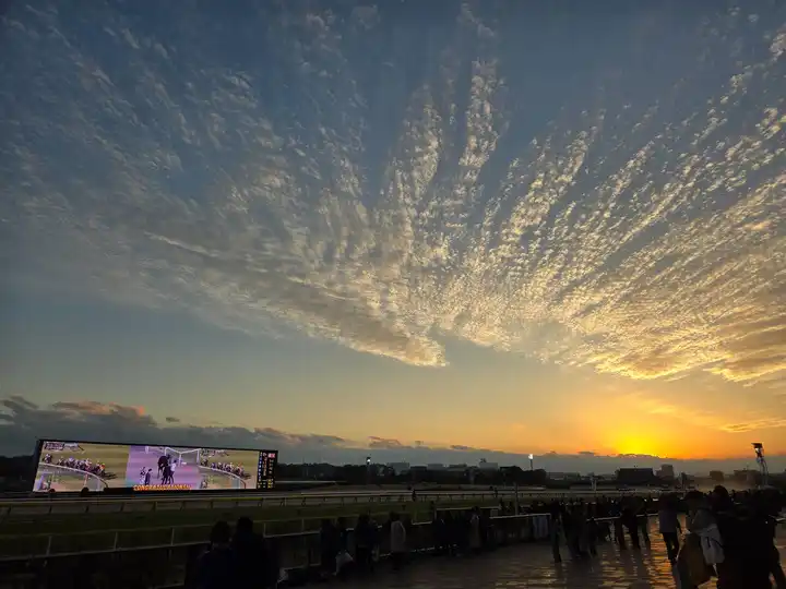 東京競馬場の日没の写真