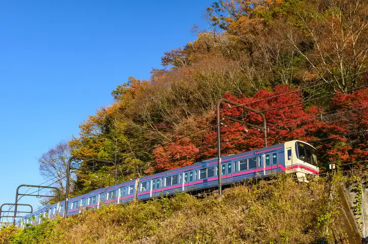 秋の高尾1の写真
