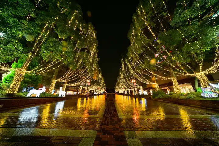 雨のイルミネーションの写真