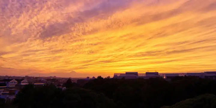 夕焼けに染まる京の頭線の方向の写真