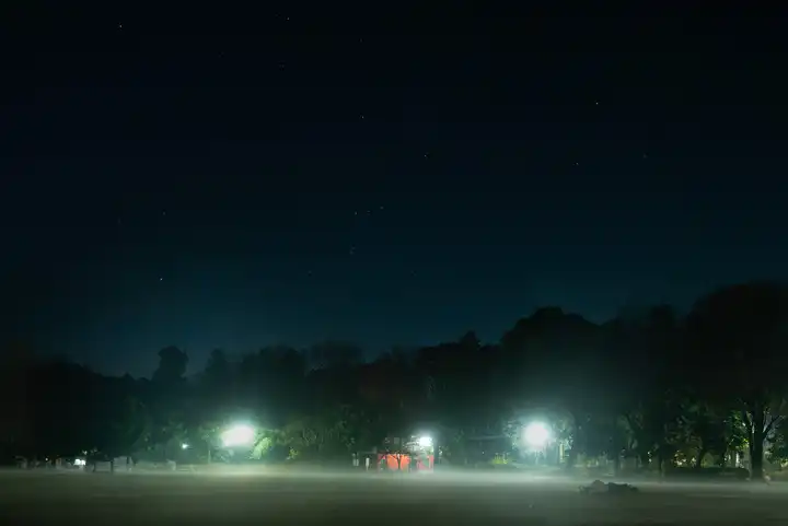 芝の上、星の下の写真