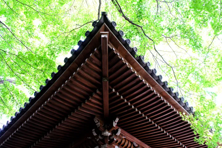 早朝の寺の写真