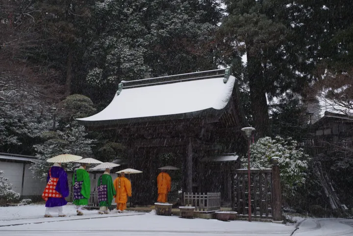 雪降る朝の写真