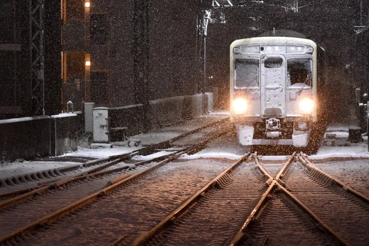 雪道を征くの写真