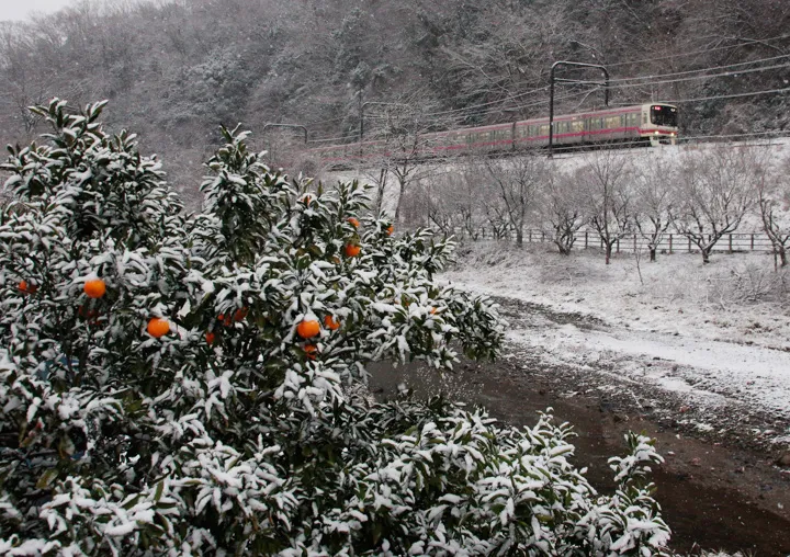 雪の高尾山口の写真