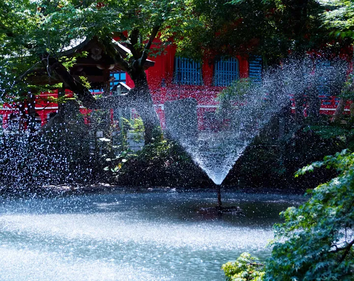 冷気飛び散るの写真