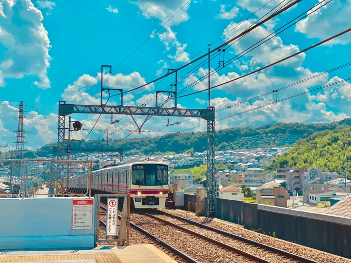 冒険の夏の写真