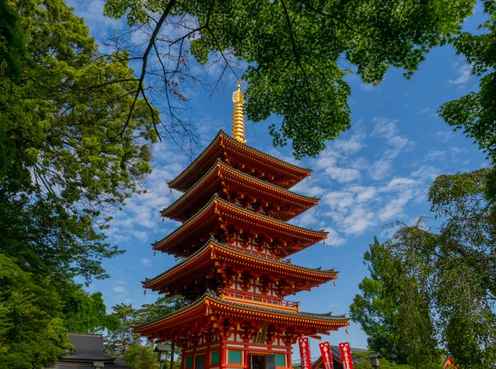 高幡不動の写真