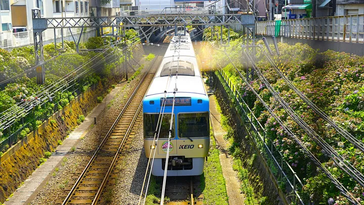 未来へ片道切符の写真