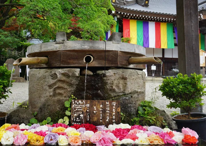 薔薇でお清めの写真