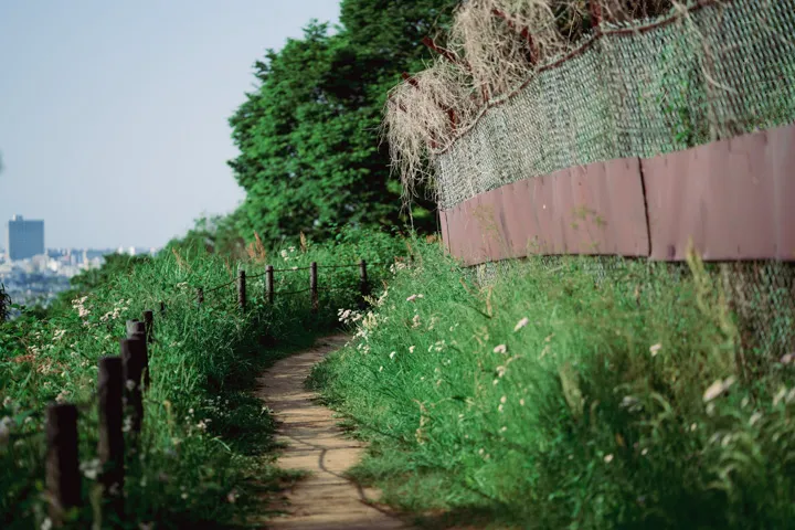 秘密基地の写真
