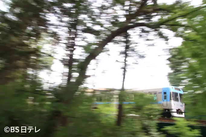 写真1