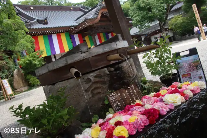 写真2
