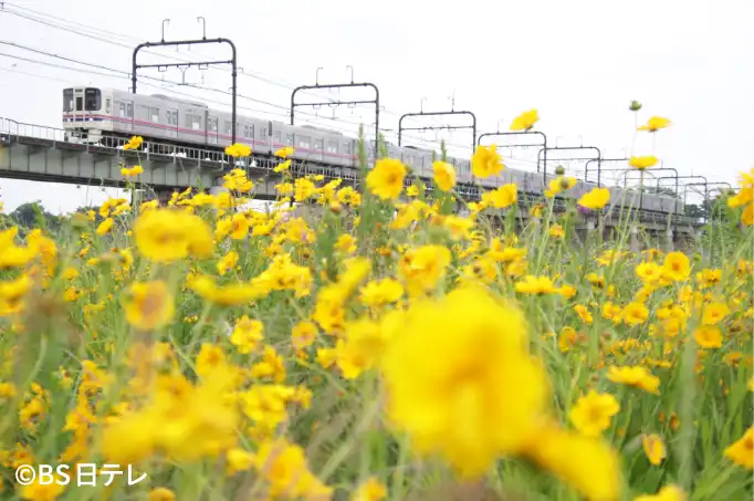 写真6