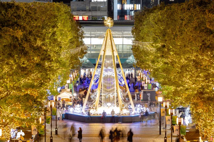 煌めく夜の写真