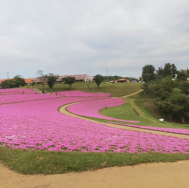 オフの過ごし方