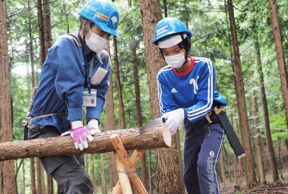 一部の木を切り倒し、木と木の間隔をあけて残した木の成長を促す間伐を体験しましたの写真2