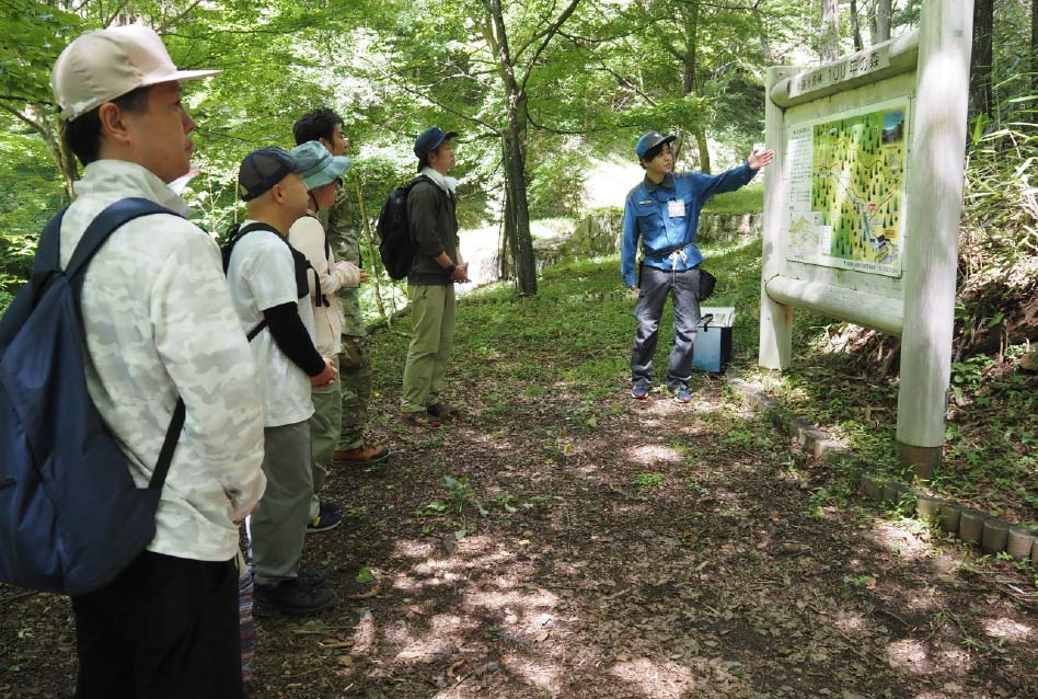100年の森を散策の写真