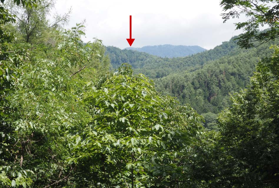 揺拝殿跡地より水干※を望むの写真