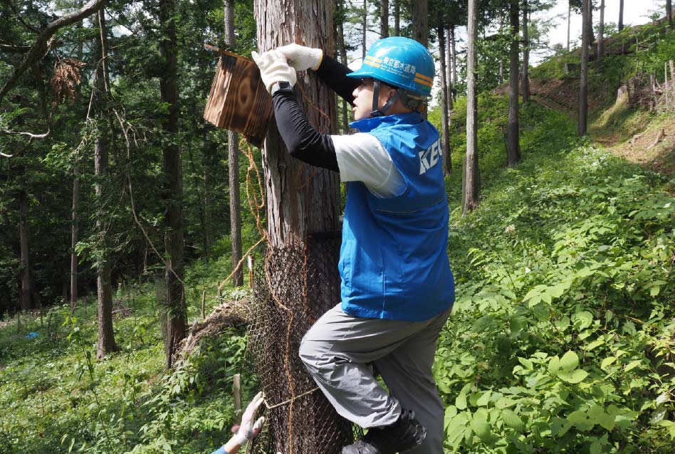 新しい巣箱も3カ所に設置の写真