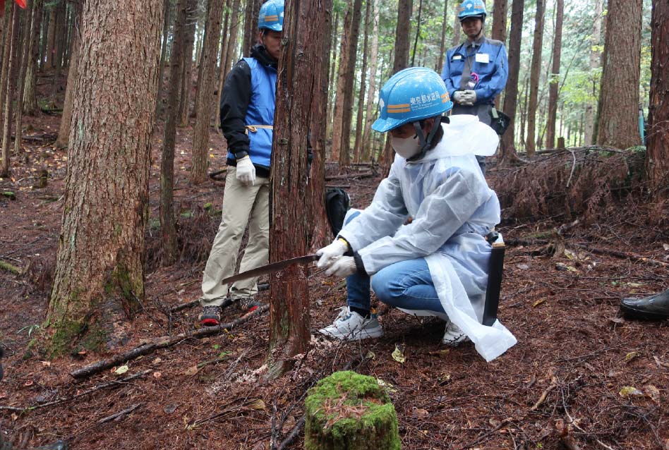 間伐を行ったの写真2