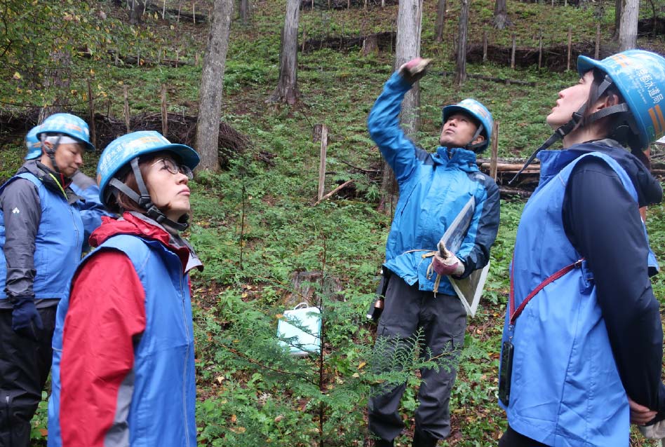 【京王水源の森見学】の写真2