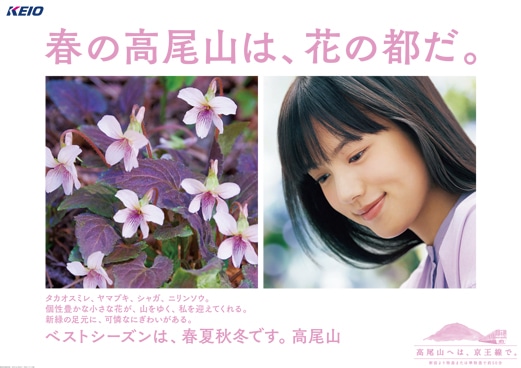 春の高尾山は、花の都だ。