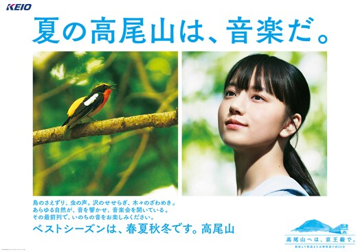 夏の高尾山は、音楽だ。
