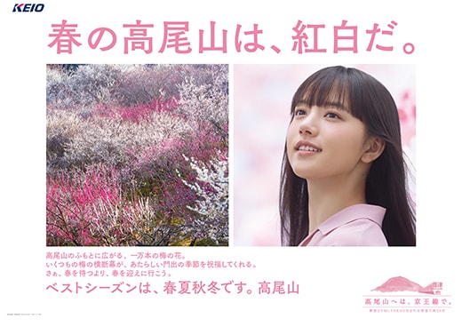 春の高尾山は、紅白だ。